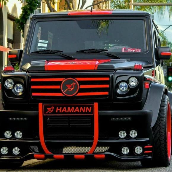 Meet your Posher, Rafi - Picture 1 of 1